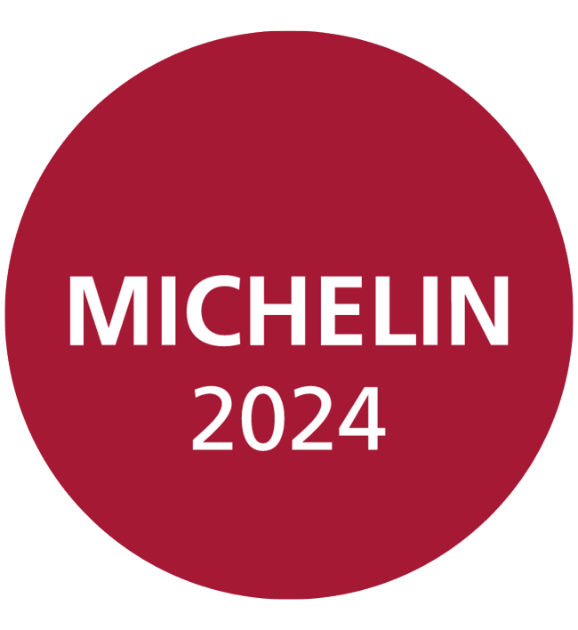 2024 Michelin Logo