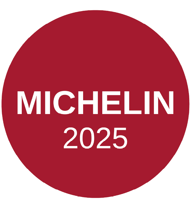 2025 Michelin Logo