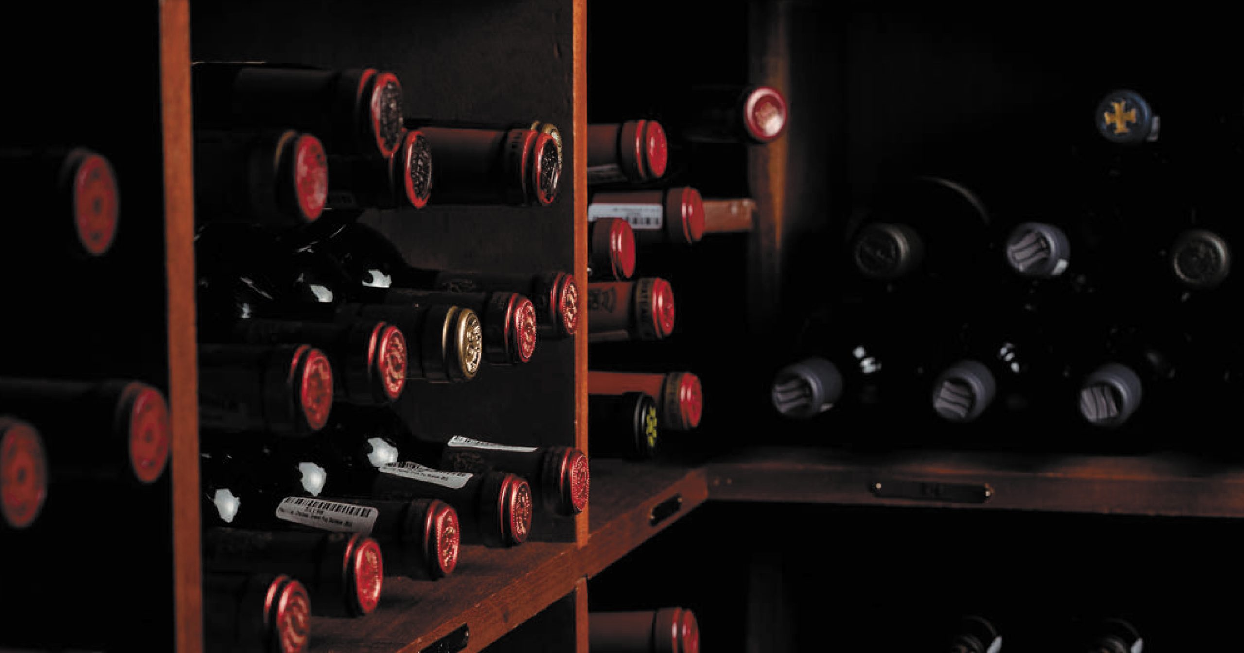 Wine storage shelves full of red wine bottles